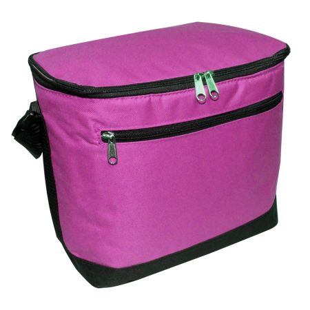12-Pack Cooler Bag