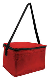 6-Pack Cooler Bag