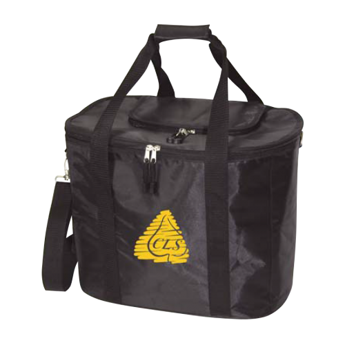 Big Picnic/Wine Cooler Bag